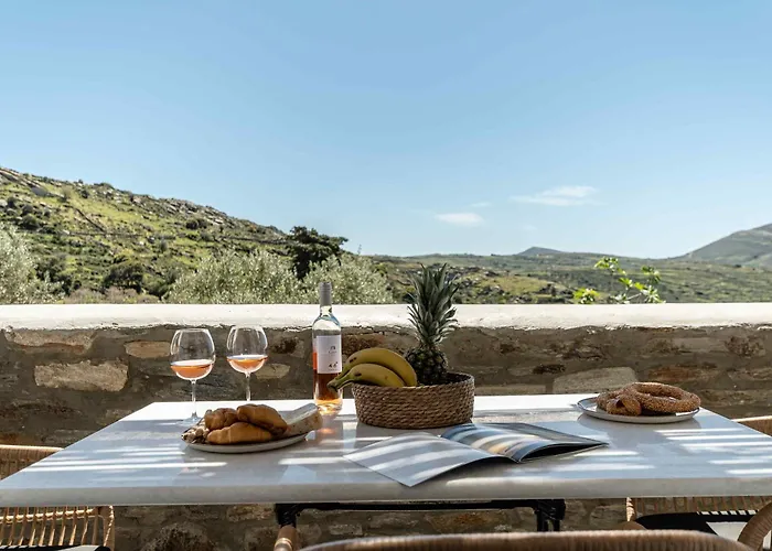 Ktima Drilli - Experience The Authentic Naxian Lifestyle Vakantiehuis *